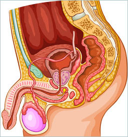 dr fairbanks incontinence